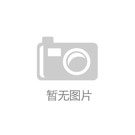 网_专业IT门户b体育·网站天极